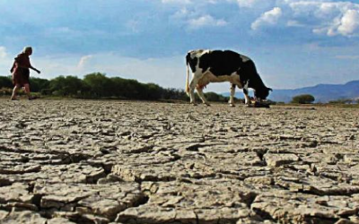 BUSCAN DIPUTADOS QUE EJIDOS Y PUEBLOS ORIGINARIOS TENGAN PREFERENCIA EN CONCESIONES PARA USO DEL AGUA